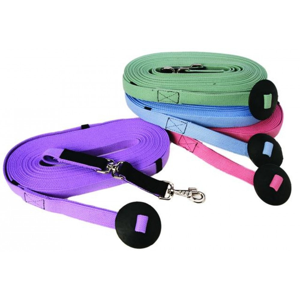 Lunging & Training Aids