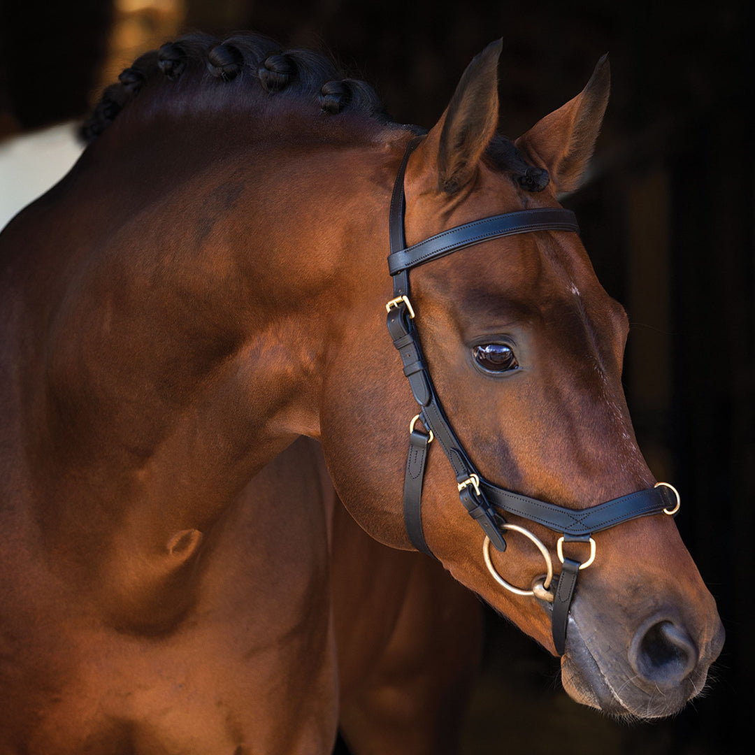 Bits, Bridles, Reins & Bonnets