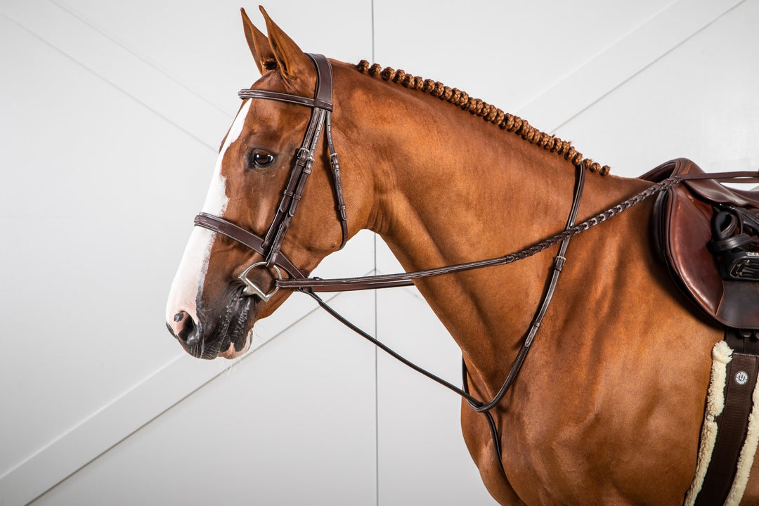 Breastplates & Martingales