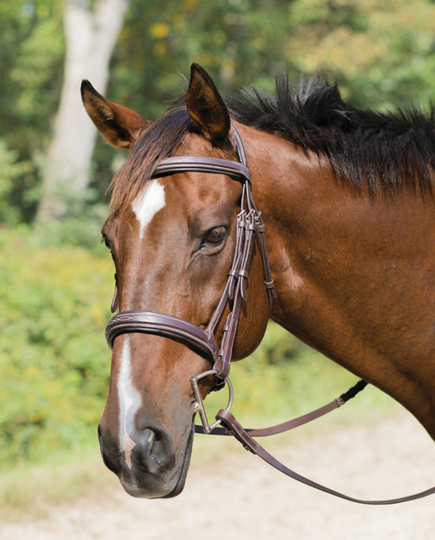 Shires