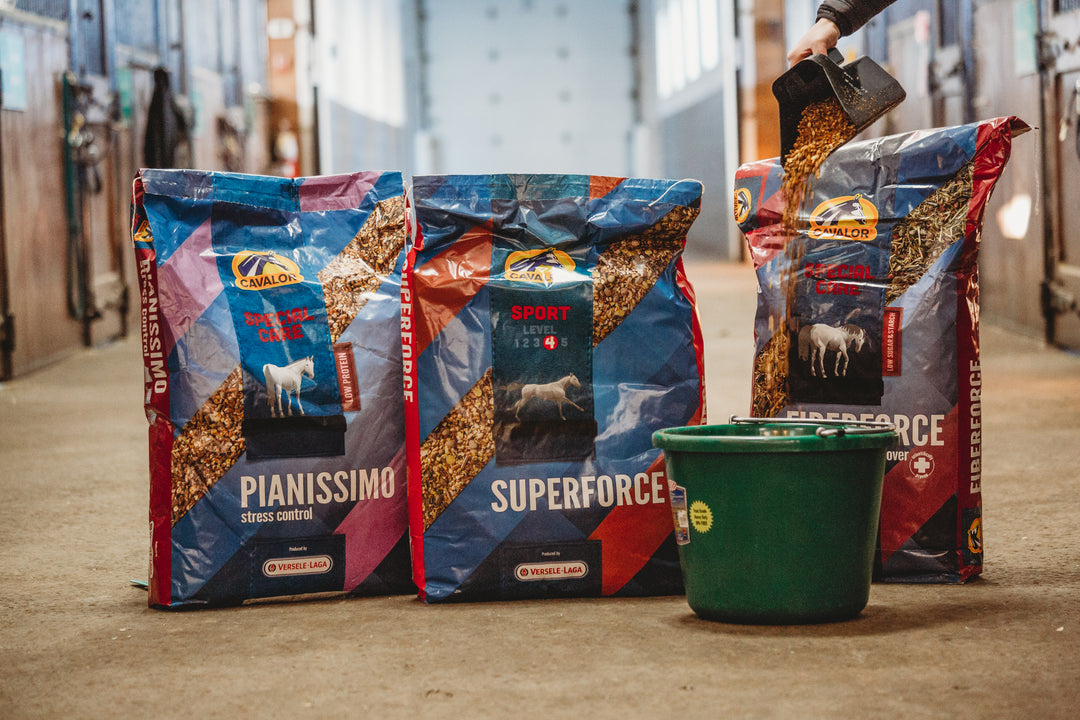 Feed & Supplements