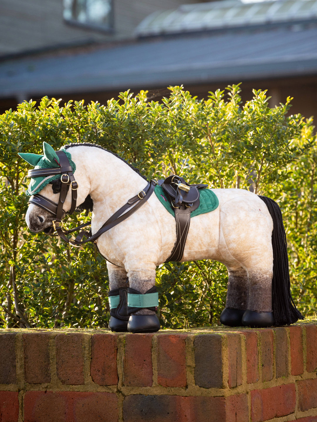 Toy Pony Accessories