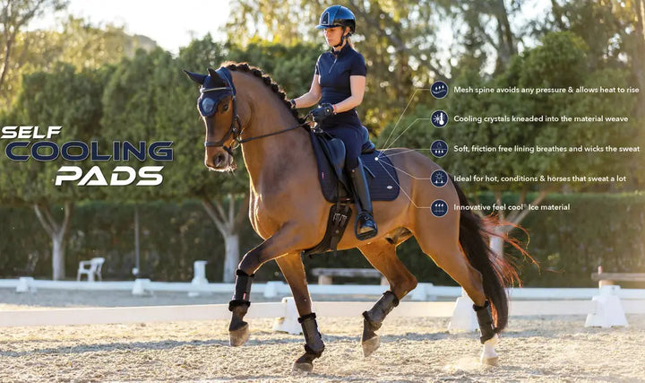 Self-Cool Dressage Square