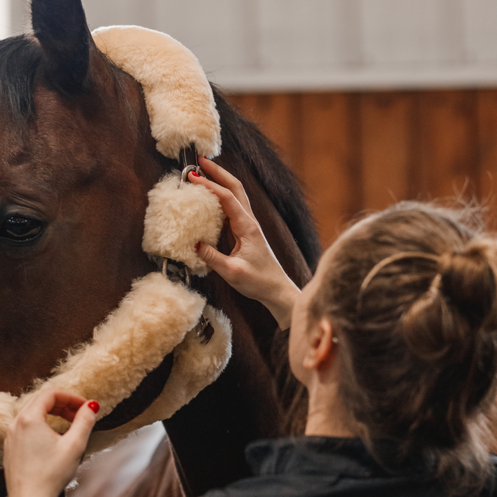 Whistler Shipping Halter
