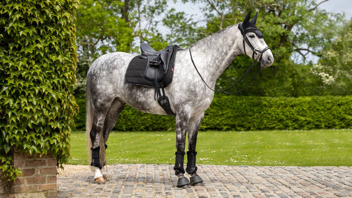Dressage Work Pad