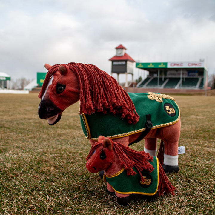 Big Ben - Limited Edition 50th Anniversary Tiny Pony
