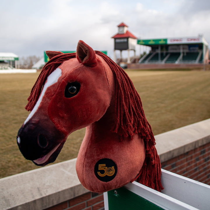 Big Ben -  Limited Edition 50th Anniversary Hobby Horse