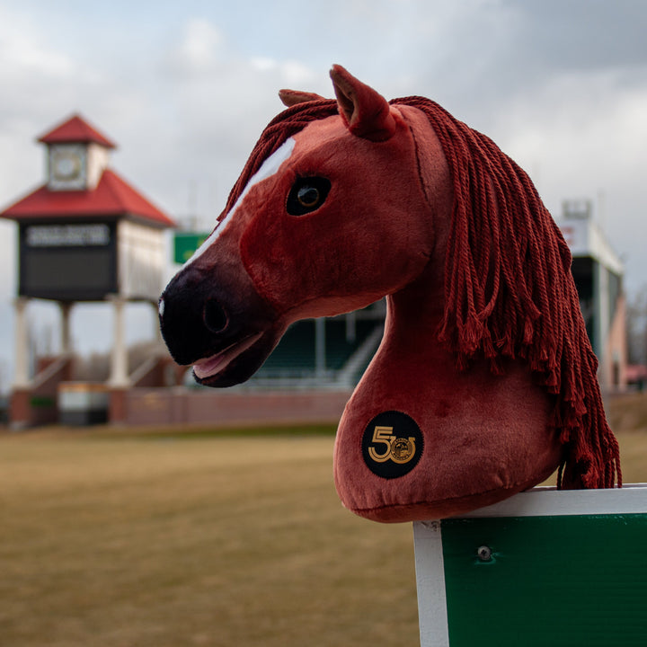 Big Ben -  Limited Edition 50th Anniversary Hobby Horse
