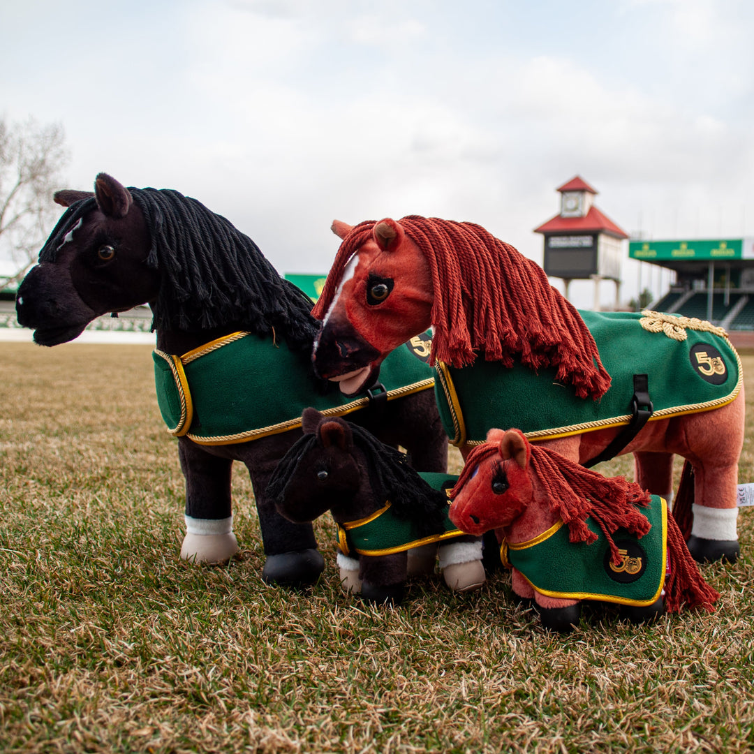 Big Ben - Limited Edition 50th Anniversary Tiny Pony