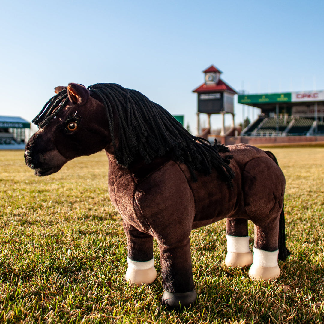 Dynamite - Limited Edition 50th Anniversary Toy Pony