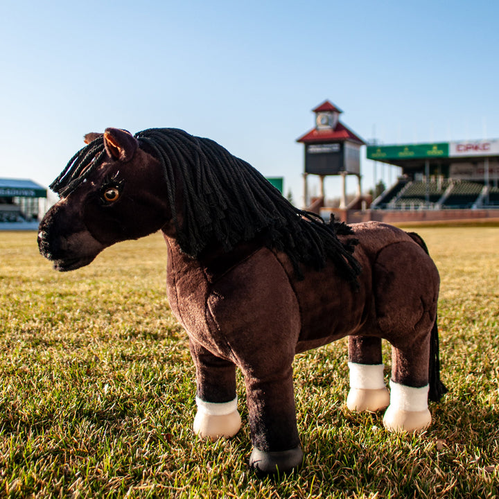 Dynamite - Limited Edition 50th Anniversary Toy Pony