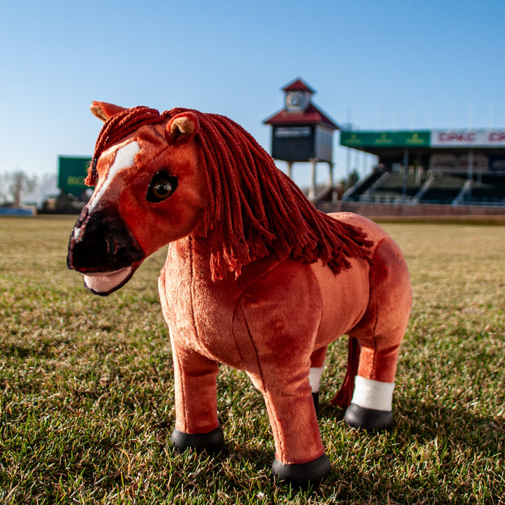 Big Ben - Limited Edition 50th Anniversary Toy Pony