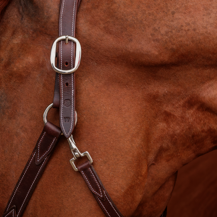 Waterton Leather Halter