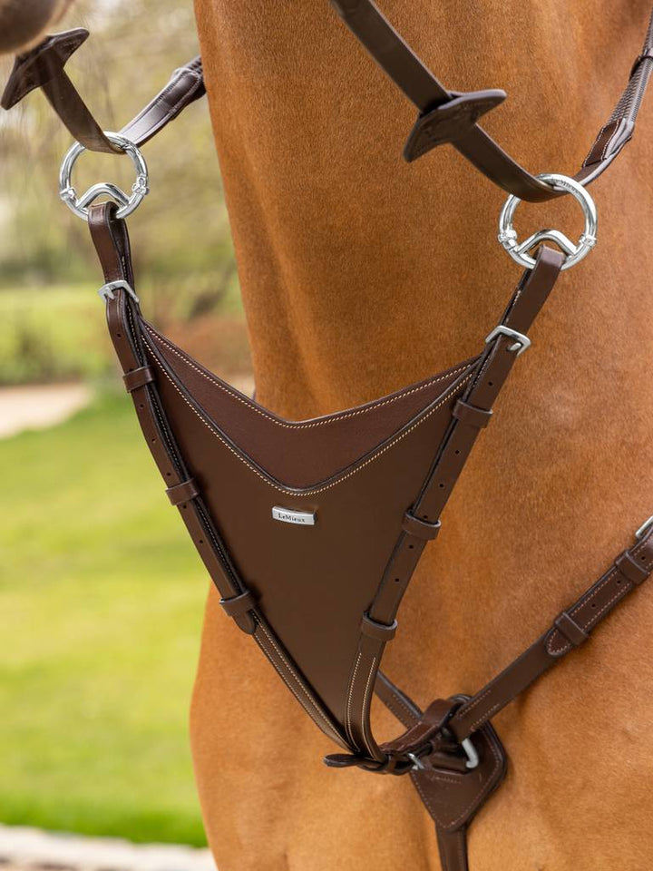 Kudos Bib Martingale Attachment