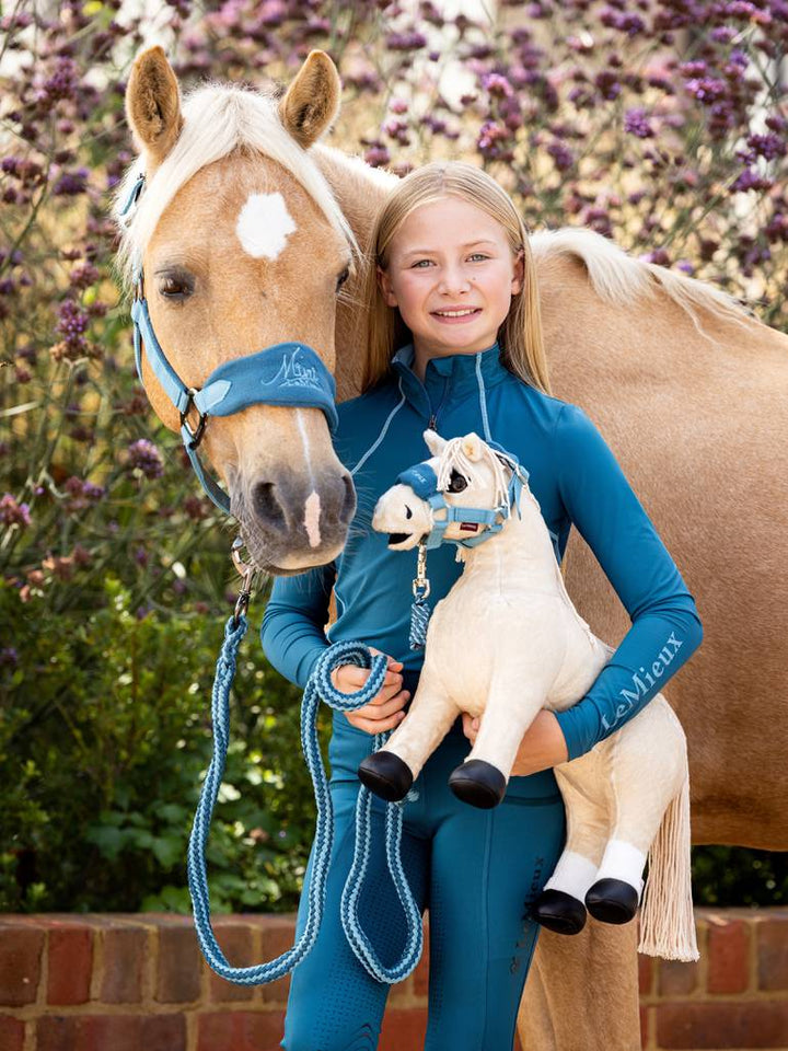 Toy Ponies