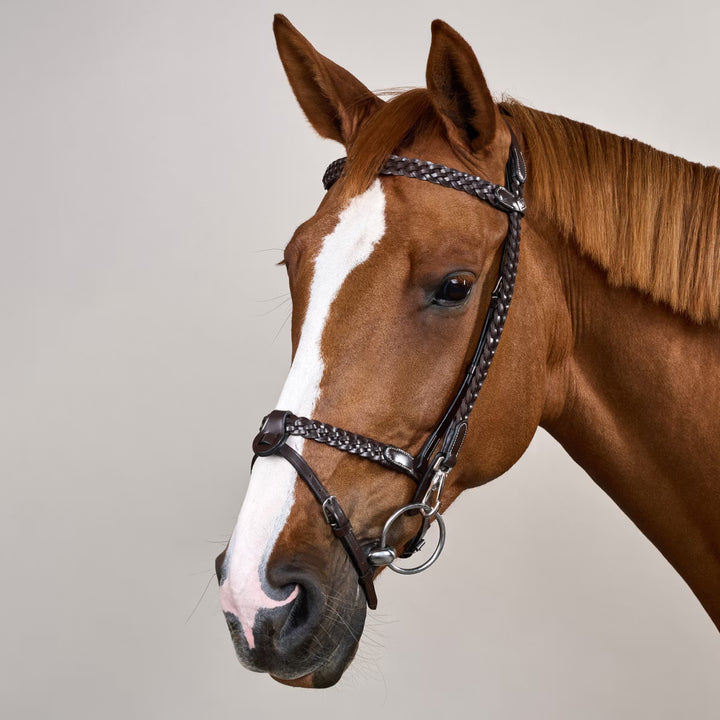 Plaited Training Bridle
