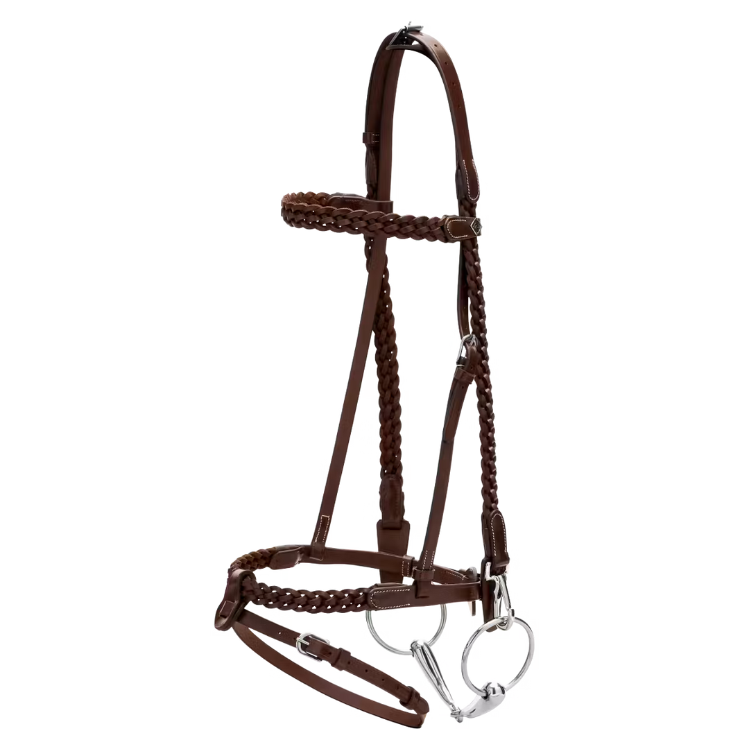Plaited Training Bridle