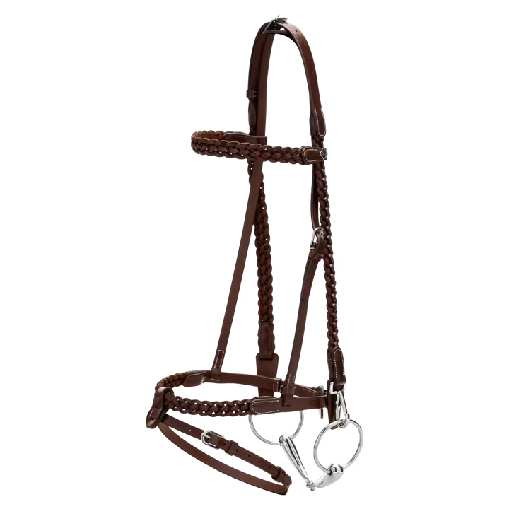 Plaited Training Bridle