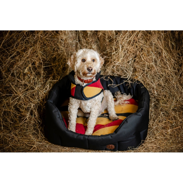 Newmarket Dog Bed