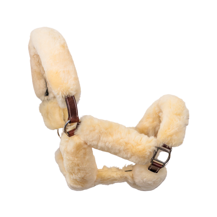 Whistler Shipping Halter