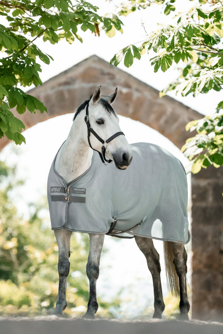 Amigo AirNet Cooler