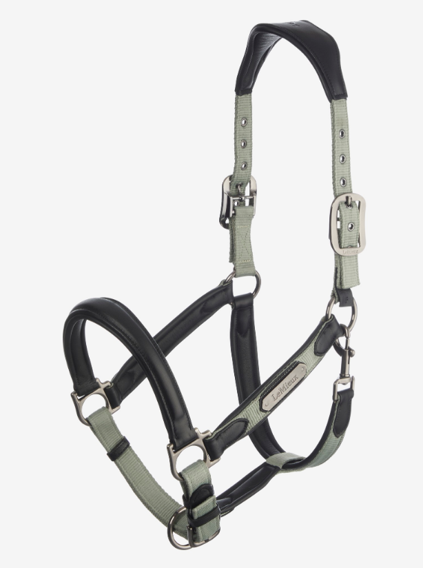 Capella Headcollar