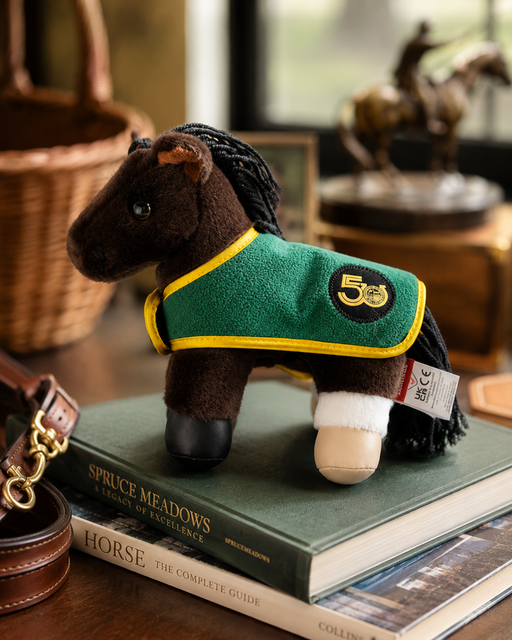 Dynamite - Limited Edition 50th Anniversary Tiny Pony