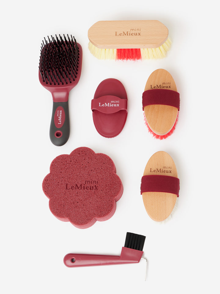 Mini Grooming Set