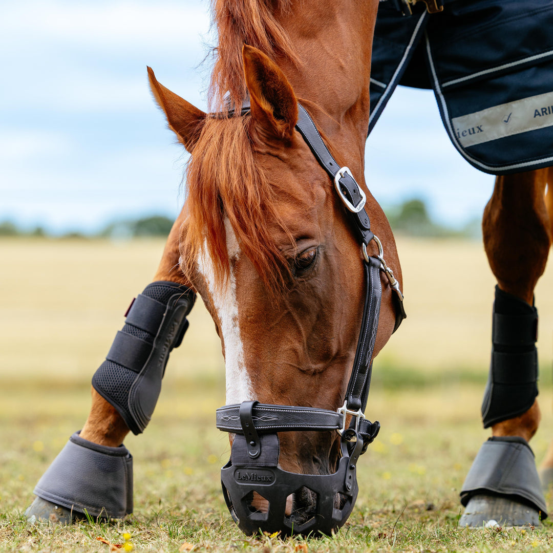 Noma Grazing Muzzle