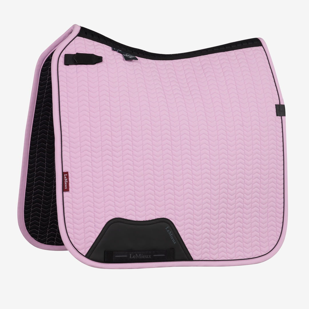 Essence Dressage Square