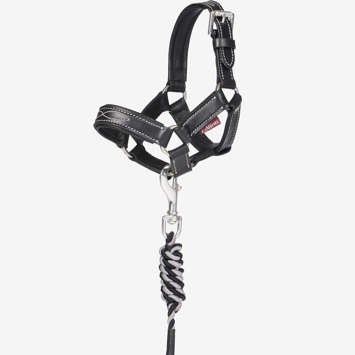 Toy Pony Leather Headcollar &amp; Leadrope