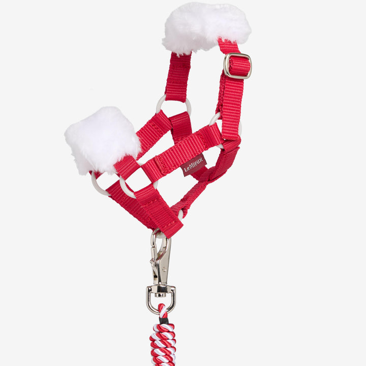 Toy Pony Vogue Headcollar &amp; Lead rope