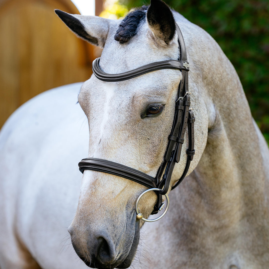 Arika Cavesson Bridle