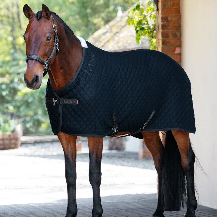 Arika Clima-Tek Rug