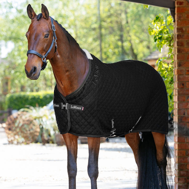 Arika Clima-Tek Rug