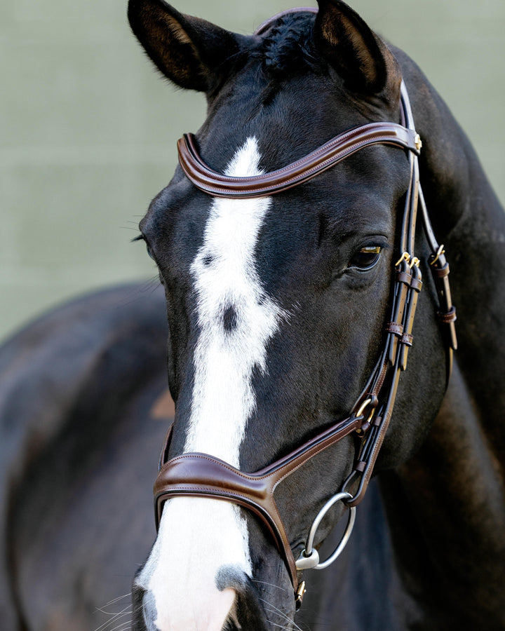 Kudos Sport Bridle