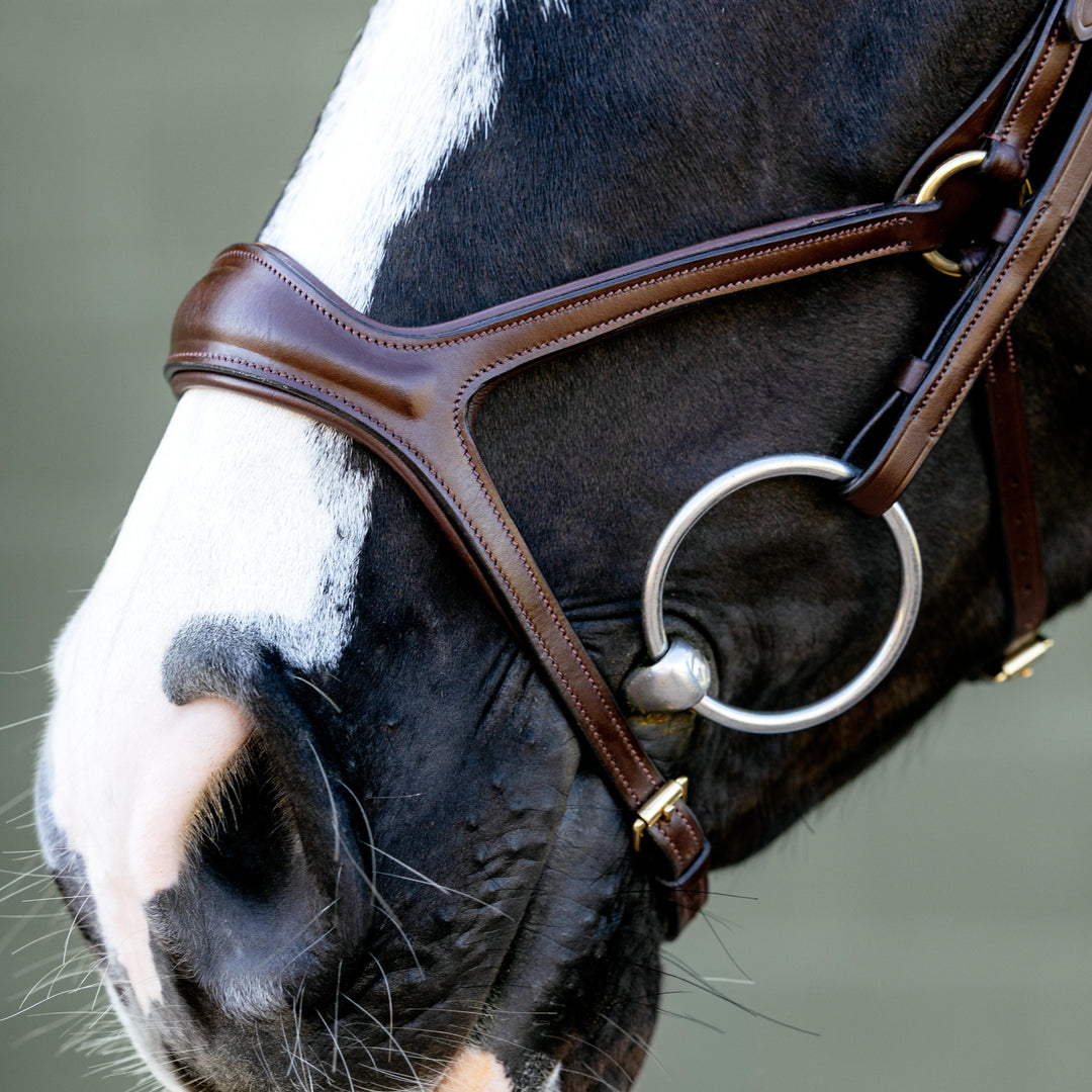 Kudos Sport Bridle