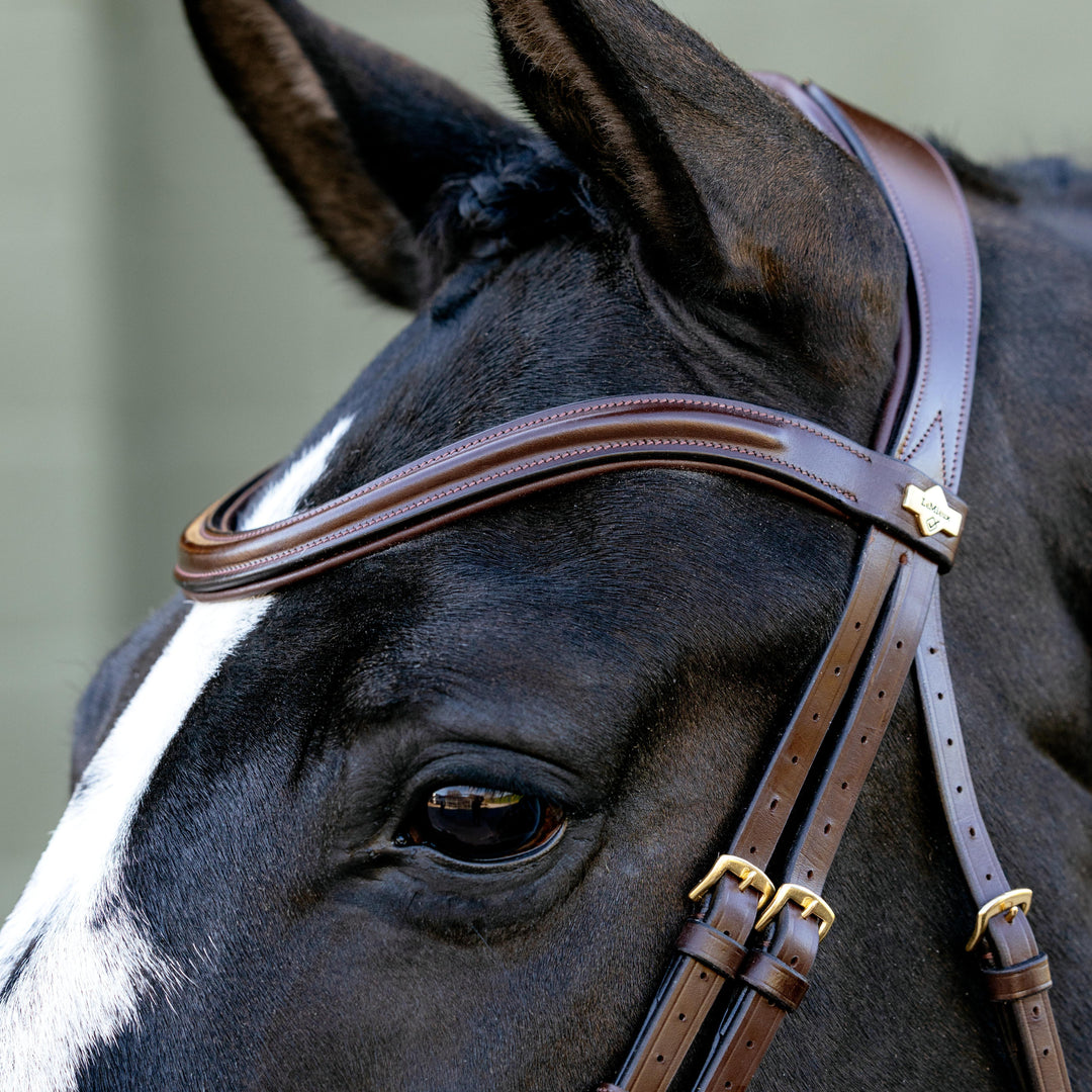 Kudos Sport Bridle