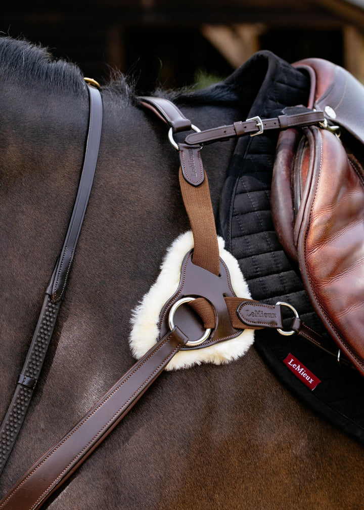 Kudos 5 Point Bridge Breastplate