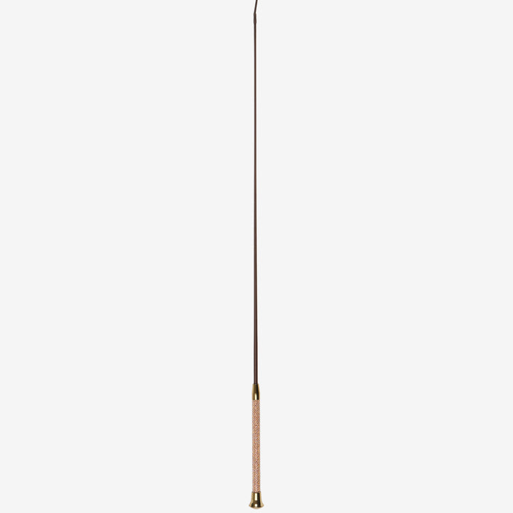 Brilliance Schooling Whip