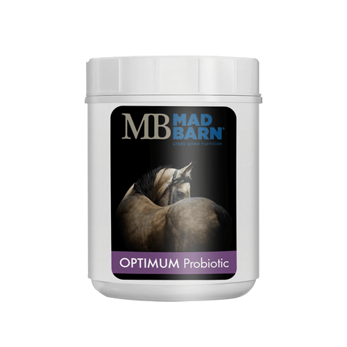 Optimum Probiotic