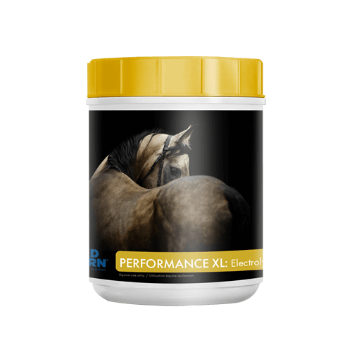 Performance XL: Electrolytes