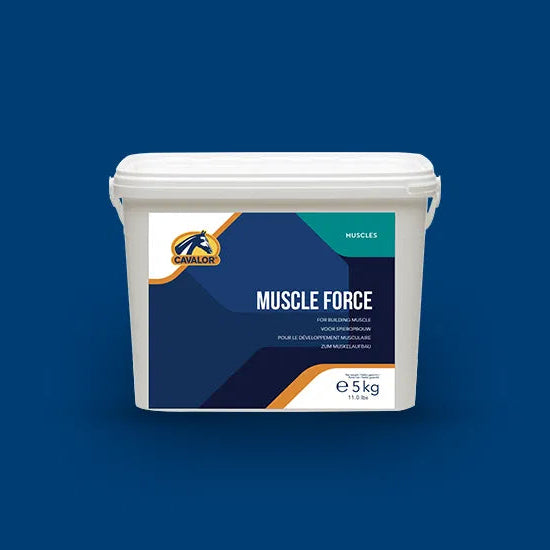 Muscle Force