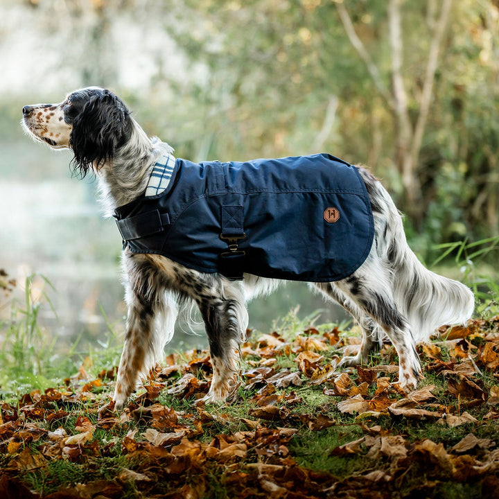 Newmarket Heritage Dog Coat