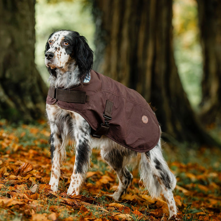 Newmarket Heritage Dog Coat