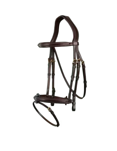 Flash Noseband Bridle - D Collection