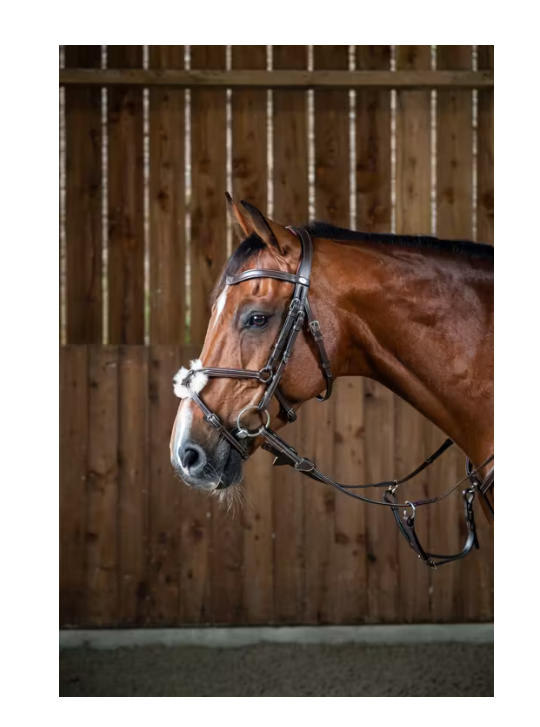 Figure 8 Bridle - Dyon Working Collection