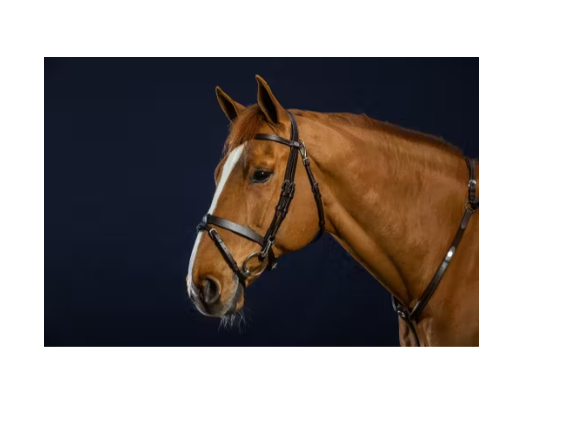 Flat Leather Bridle - Working Collection