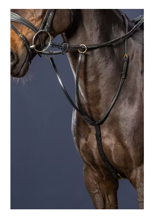 Running Martingale - Dyon Collection