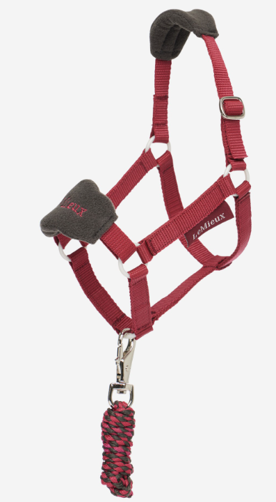 Hobby Horse Vogue Headcollar &amp; Leadrope